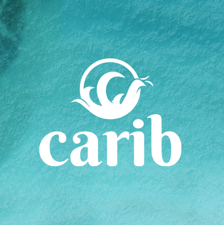 We Follow | Informação com Criatividade